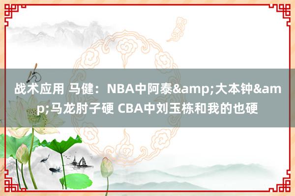 战术应用 马健：NBA中阿泰&大本钟&马龙肘子硬 CBA中刘玉栋和我的也硬