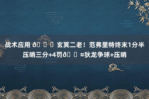 战术应用 🚀玄冥二老！范弗里特终末1分半压哨三分+4罚😤狄龙争球+压哨