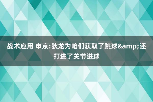 战术应用 申京:狄龙为咱们获取了跳球&还打进了关节进球