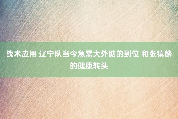 战术应用 辽宁队当今急需大外助的到位 和张镇麟的健康转头