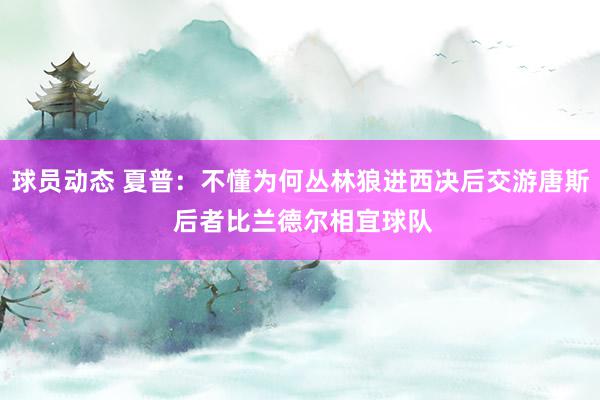 球员动态 夏普：不懂为何丛林狼进西决后交游唐斯 后者比兰德尔相宜球队