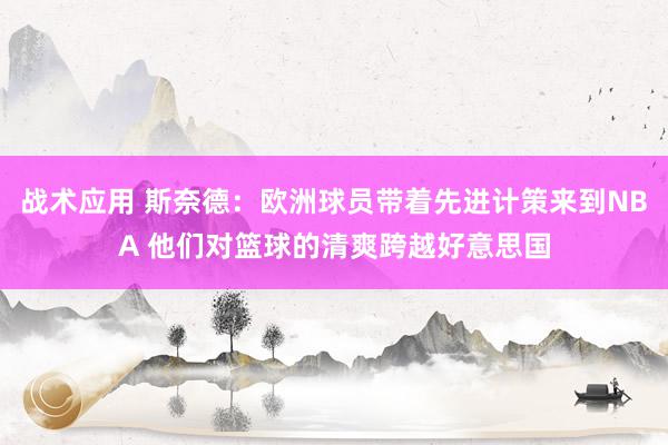 战术应用 斯奈德：欧洲球员带着先进计策来到NBA 他们对篮球的清爽跨越好意思国