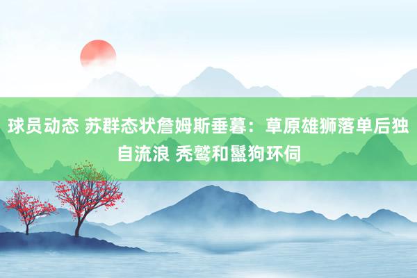 球员动态 苏群态状詹姆斯垂暮：草原雄狮落单后独自流浪 秃鹫和鬣狗环伺