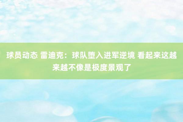 球员动态 雷迪克：球队堕入进军逆境 看起来这越来越不像是极度景观了