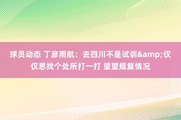 球员动态 丁彦雨航：去四川不是试训&仅仅思找个处所打一打 望望规复情况