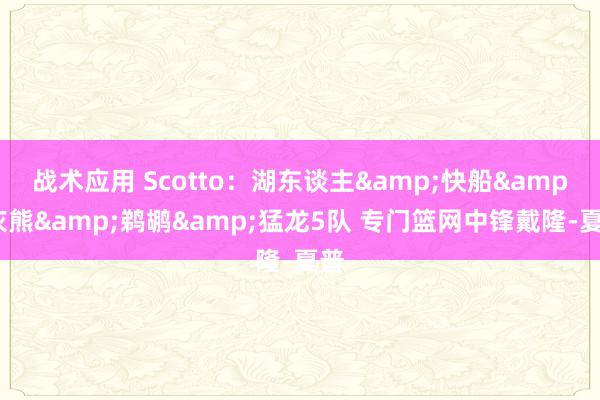 战术应用 Scotto：湖东谈主&快船&灰熊&鹈鹕&猛龙5队 专门篮网中锋戴隆-夏普