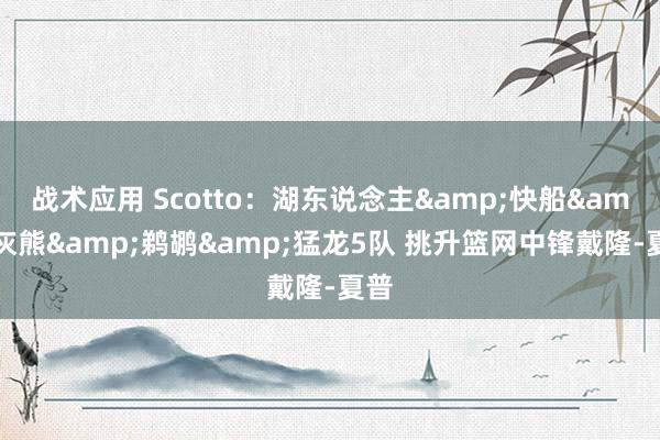 战术应用 Scotto：湖东说念主&快船&灰熊&鹈鹕&猛龙5队 挑升篮网中锋戴隆-夏普