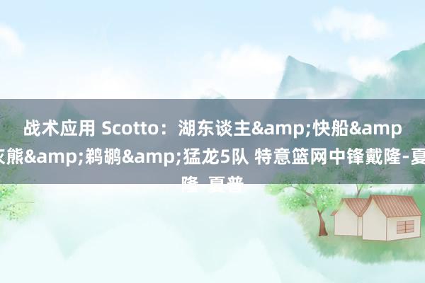 战术应用 Scotto：湖东谈主&快船&灰熊&鹈鹕&猛龙5队 特意篮网中锋戴隆-夏普